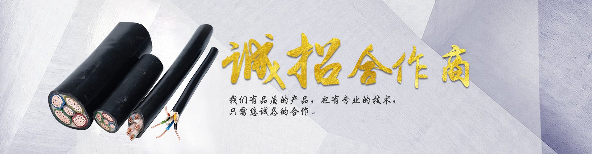 重庆楚楚电缆