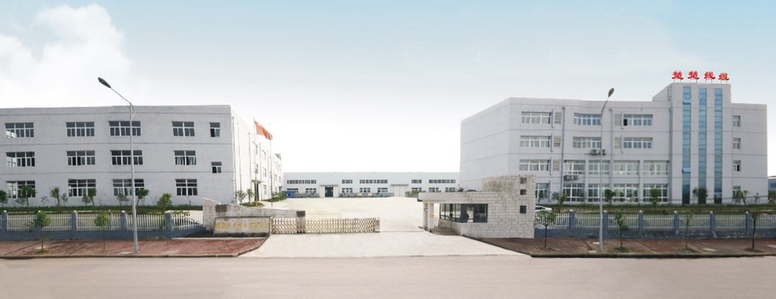 重庆楚楚电缆
